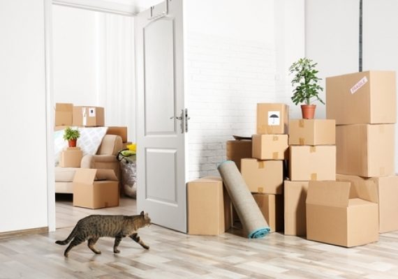 Movers and Packers In Ras Al Khaimah