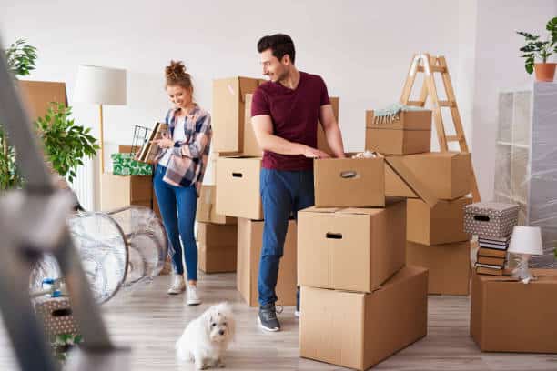 Packers and Movers in Dubai